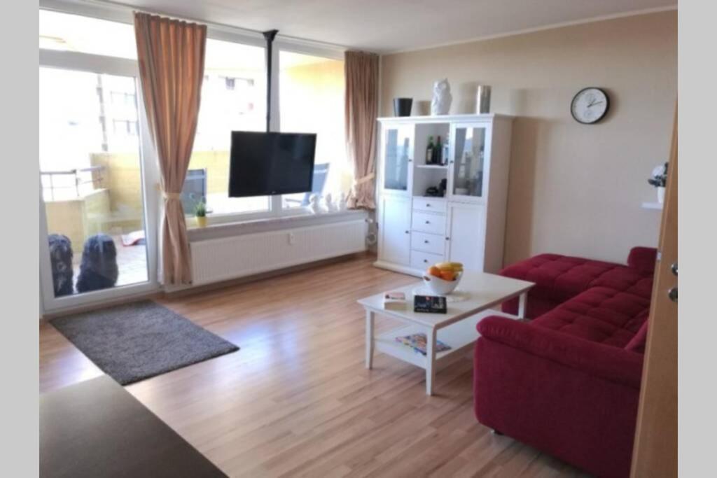 Moderne Ferienwohnung Mit Wlan+Schwimmbad+Sauna Hohegeiß Dış mekan fotoğraf