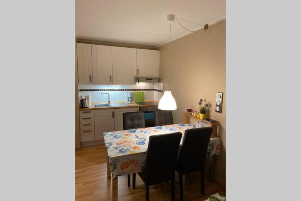 Moderne Ferienwohnung Mit Wlan+Schwimmbad+Sauna Hohegeiß Dış mekan fotoğraf